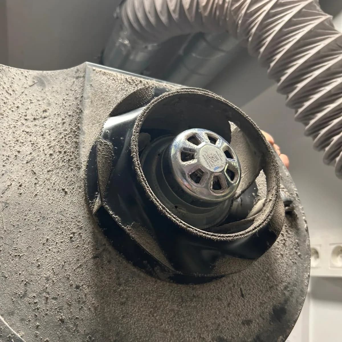 Removed fan impeller before cleaning: blades and scroll coated in a thick layer of grey dust.